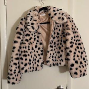 Dalmatian Jacket